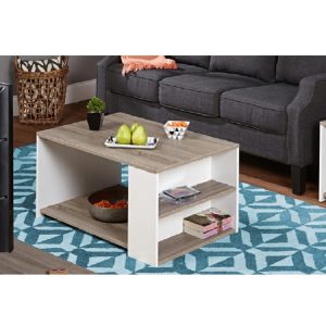 Contemporary Urban Coffee Table in Gray